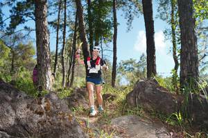 BIB: 
                            <button type="button" onclick="openModal(18943194)" class="btn btn-primary btn-sm float-right btn-popup" data-toggle="modal" data-target=".modal-high-quality">
                        <i class="fas fa-shopping-cart"></i> Add to Cart
                    </button>
                                            <button type="button" onclick="isThisMe(18943194, true)" class="btn btn-success btn-sm float-right btn-popup btn-isme hidden" data-toggle="tooltip" data-placement="bottom" title="นี่คือรูปของคุณใช่ไหม คลิกที่นี่เพื่อเอาเข้าอัลบั้ม">
                        <i class="fas fa-plus"></i> Add to album
                    </button>
                    <button type="button" onclick="isThisMe(18943194, false)" class="btn btn-warning btn-sm float-right btn-popup btn-isnotme hidden">
                        <i class="fas fa-ban"></i> Remove from album
                    </button>